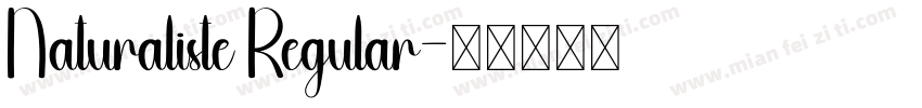 Naturaliste Regular字体转换